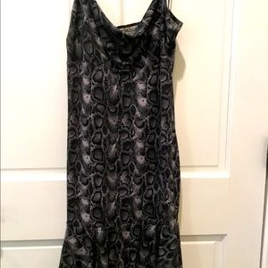 Snake Print  Dress 🐍